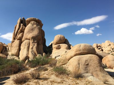 Joshua Tree National Park