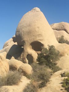 Skull Rock, Joshua Tree National Park